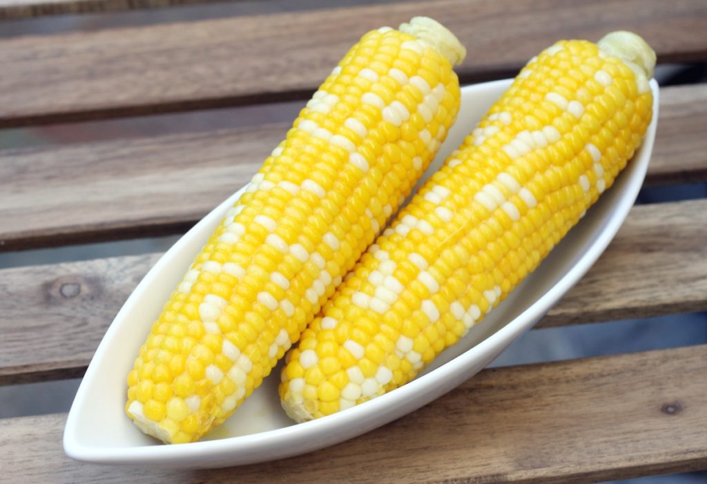 Can dogs eat corn on the cob cooked Watch video with one simple click